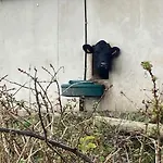 度假居 Idyllic Family In Beautiful West Cork *