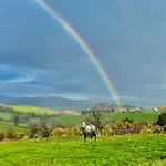 Idyllic Family In Beautiful West Cork Holiday home *