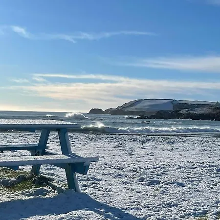 Idyllic Family In Beautiful West Cork スキバリーン