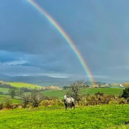 Idyllic Family In Beautiful West Cork Tatil Evi *