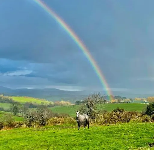 Idyllic Family In Beautiful West Cork Vakantiehuis *